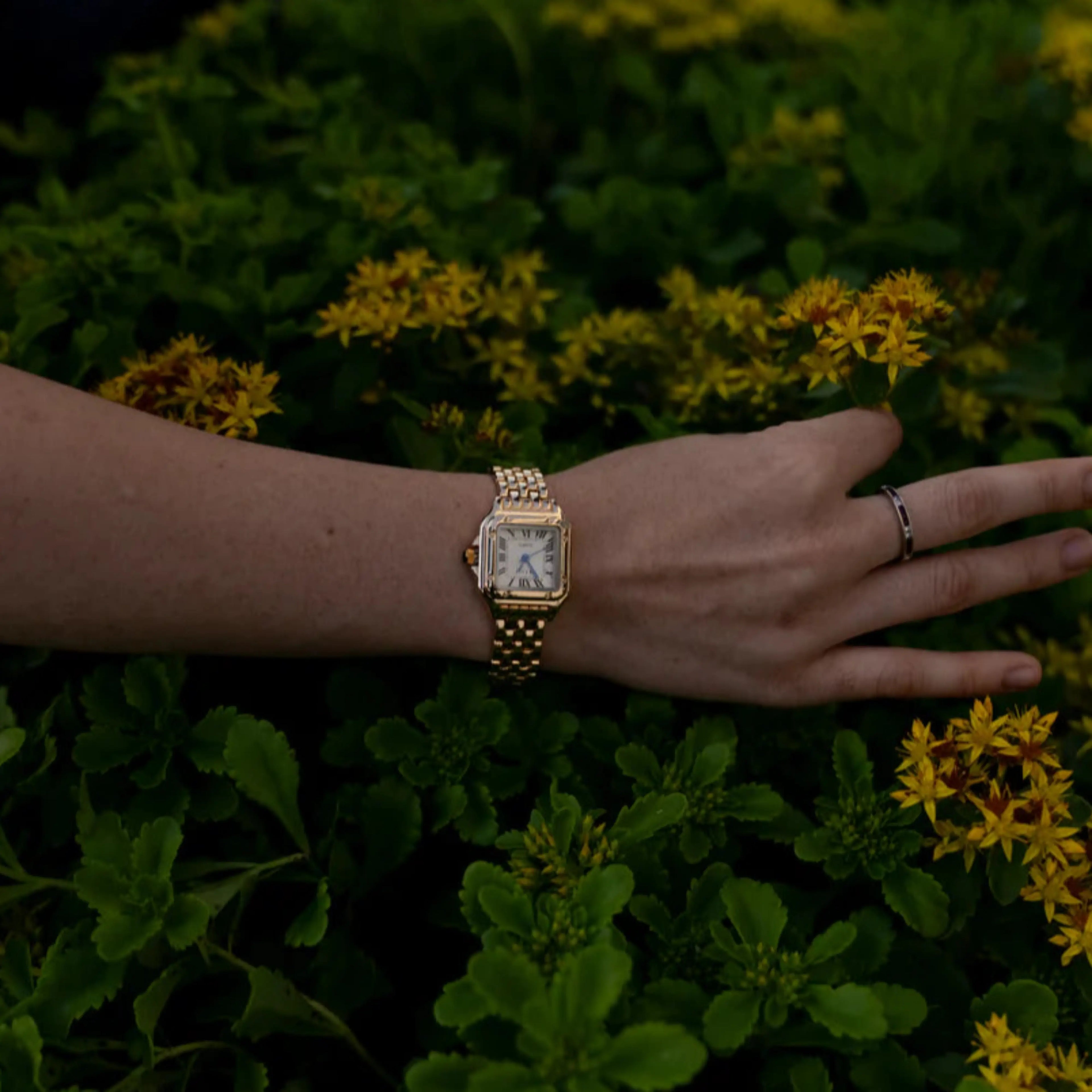 Blanca™ – Elegancia imperial