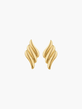 Oro Dorado